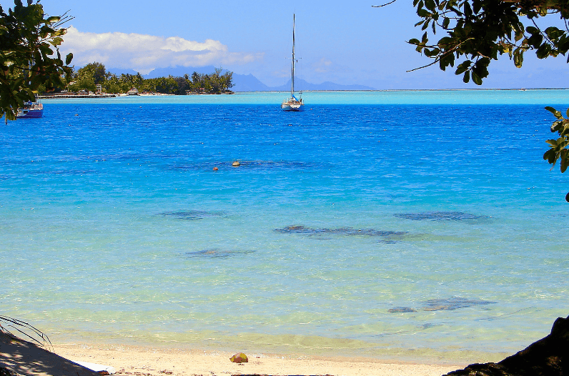 A sailboat floats on vibrant blue tropical water near a sandy beach with palm trees, under a partly cloudy sky. Tree branches frame the scene, set against the distant mountains of one of the prettiest beaches in the world.