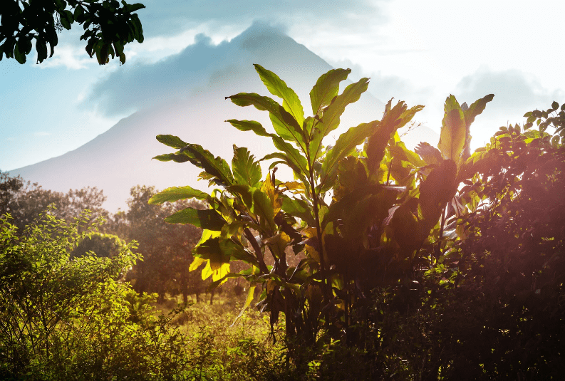 Lush green tropical plants in the foreground with sunlight streaming through, and a misty, cloud-topped volcano rising in the background—an inspiring scene perfect for yoga retreats in Costa Rica under a partly cloudy sky.