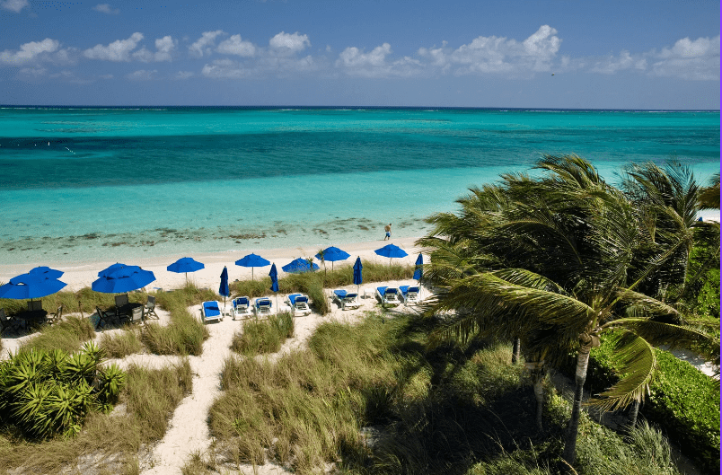 A tropical beach with clear turquoise water, blue umbrellas and lounge chairs on the sand, grassy dunes, and palm trees under a sunny sky with scattered clouds—one of the prettiest beaches in the world.